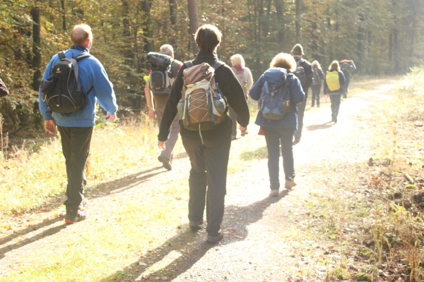 WALD WIRKT WUNDER - Lehrgang Natur-Coaching für Wanderführer